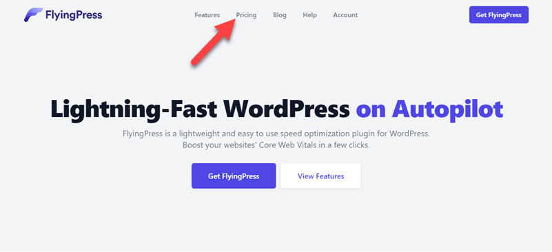 Choose FlyingPress Pricing